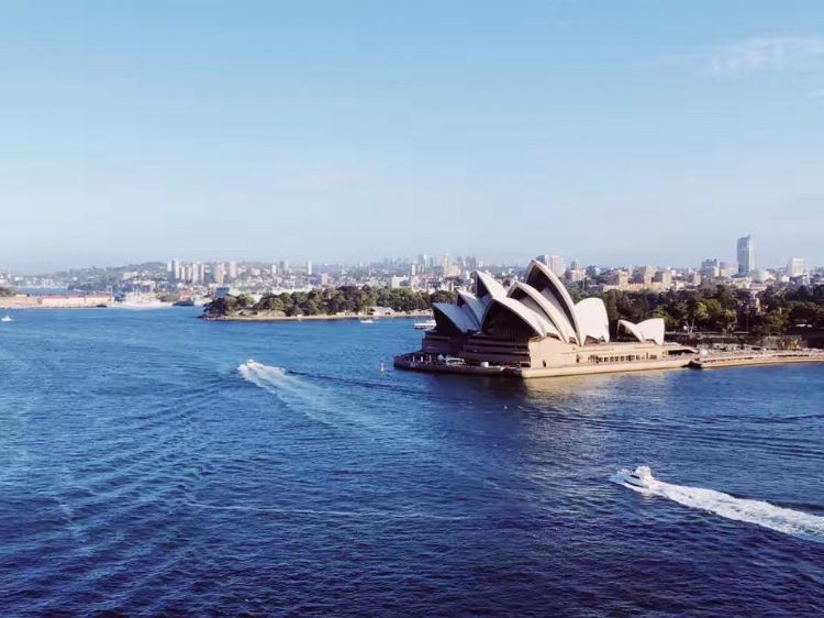 NSW试点计划更新：7月底每天250名学生飞往悉尼，为期100天！
