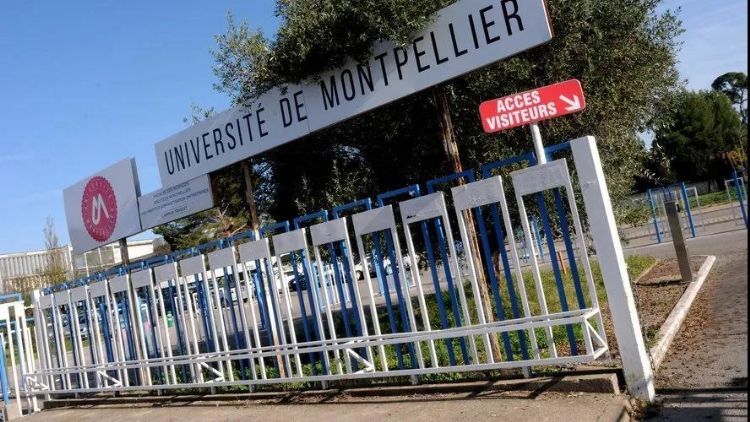 法国TOP 10最美大学来啦！谁才是真正的“颜值担当”？