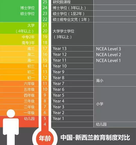 新西兰的小学是什么样的？
