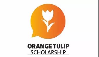 荷兰留学 | 2021-2022橙色郁金香奖学金即将开放申请