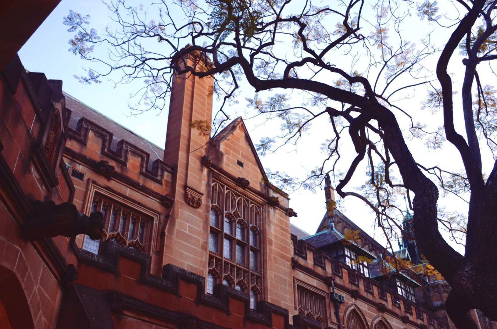如何看待西悉尼大学的中国本科生？