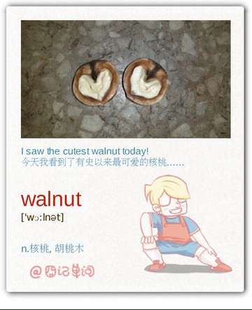 英语四级单词轻松记：walnut