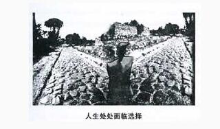 2016年6月英语四级作文范文：人生的选择