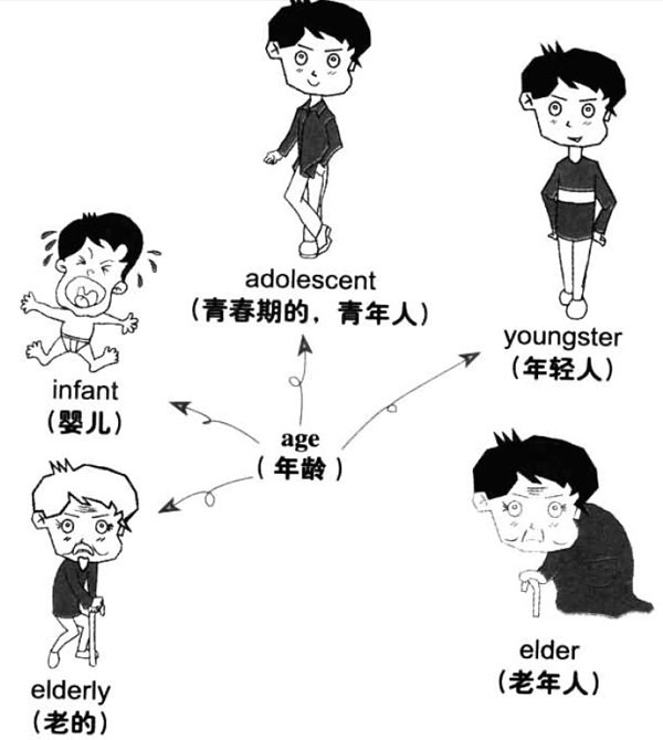 2016年12月英语六级词汇看图记忆(8)