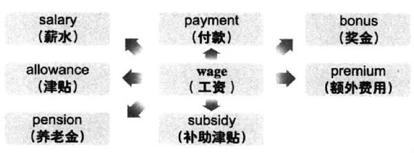 大学英语六级词汇看图记忆：wage