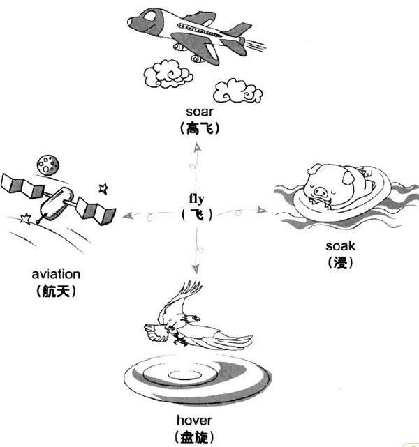 2018年12月大学英语六级词汇看图记忆：fly