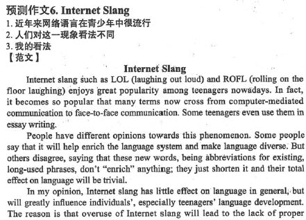 英语四级作文范文：网络语言