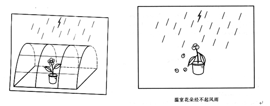 2015年6月六级写作权威预测范文五：两代关系