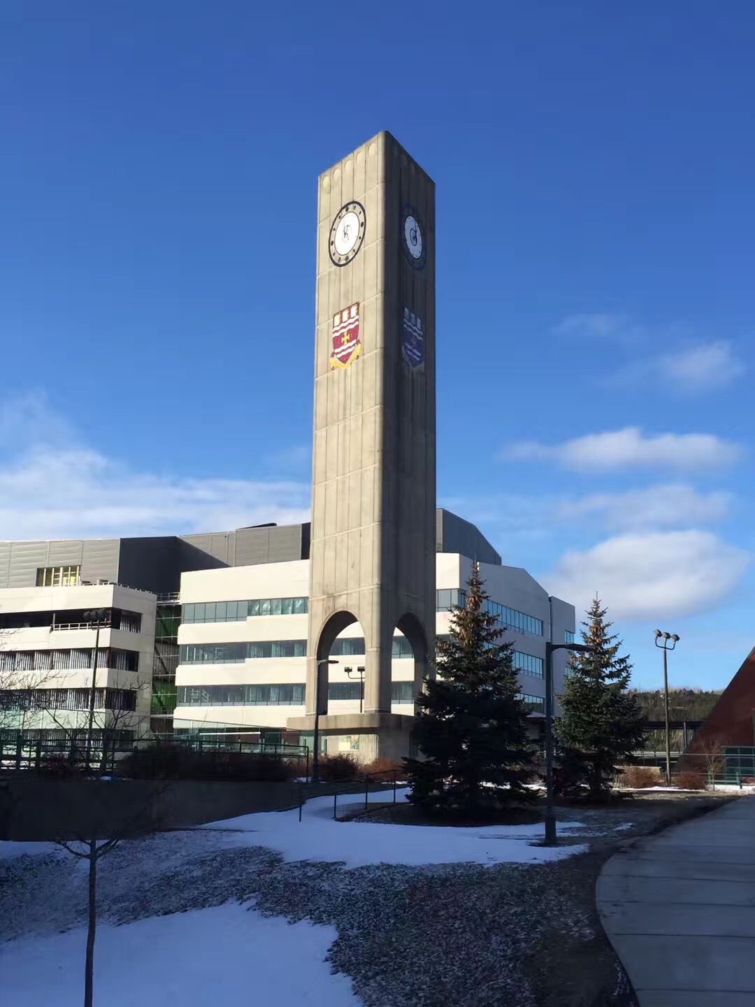 纽芬兰纪念大学国际知名度如何？