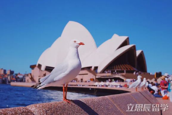 中专能去澳大利亚留学吗