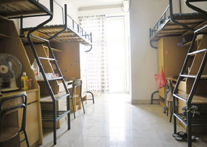 杭州电子科技大学食堂宿舍条件怎么样—宿舍图片