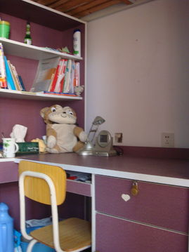 安徽外国语学院食堂宿舍条件怎么样—宿舍图片