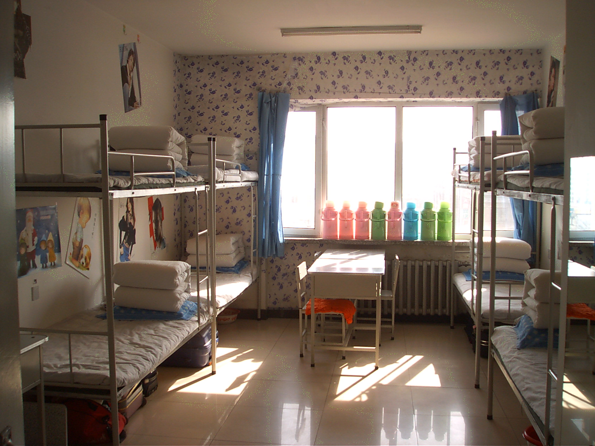 哈尔滨金融学院食堂宿舍条件怎么样—宿舍图片