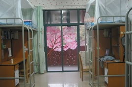 广东东软学院食堂宿舍条件怎么样—宿舍图片
