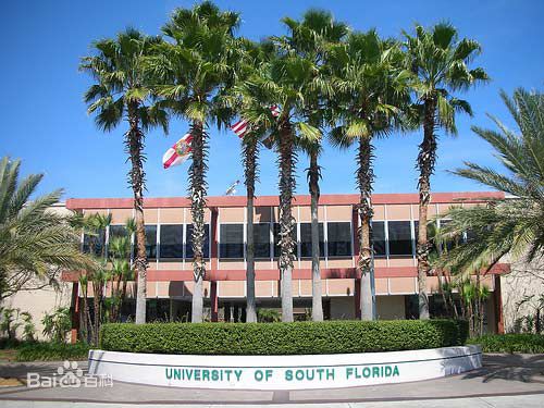 2019南佛罗里达大学世界排名【QS最新第521-530名】
