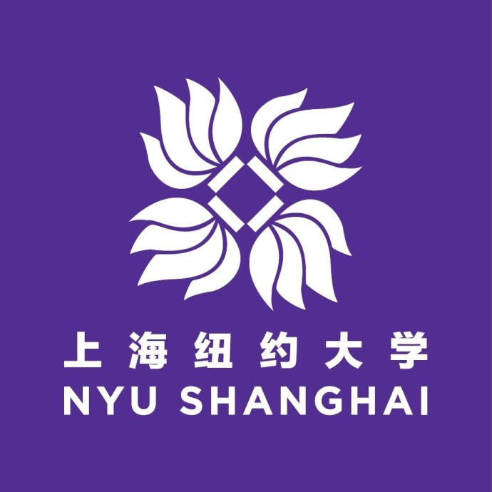 2019上海纽约大学是公办还是民办大学？