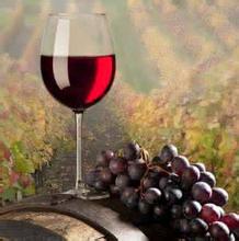2019-2020葡萄与葡萄酒工程专业考研方向
