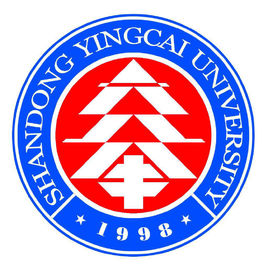 2018-2019山东民办大学排名