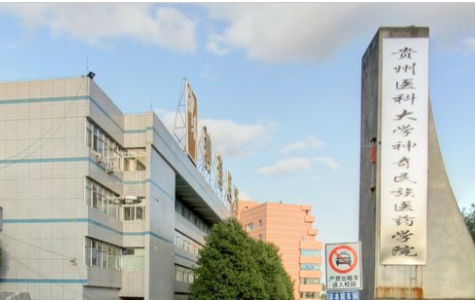 2019贵州医科大学神奇民族医药学院是公办还是民办大学？