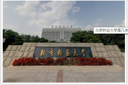 2019北京林业大学是985吗？