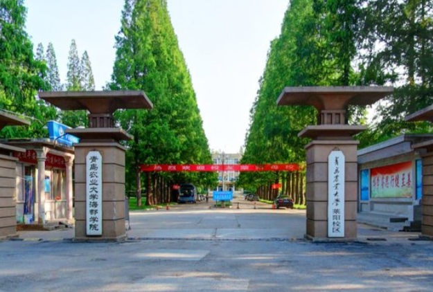 青岛农业大学海都学院是几本_是二本还是三本大学？