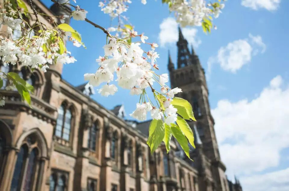 留学重点不在于留学，而是在于规划！D同学成功获录Glasgow