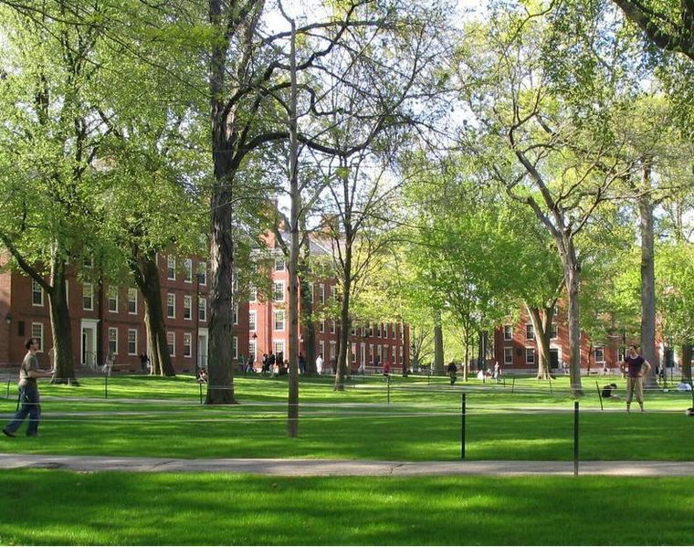哈佛大学每年接收多少留学生？