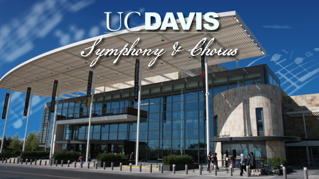 加州大学戴维斯分校和美国东北大学哪个好？