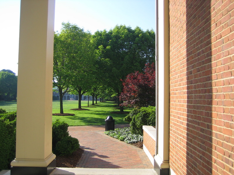 维克森林大学和圣路易斯华盛顿大学哪个好？
