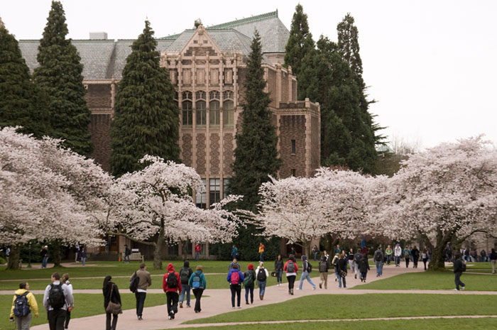 华盛顿大学西雅图分校排名