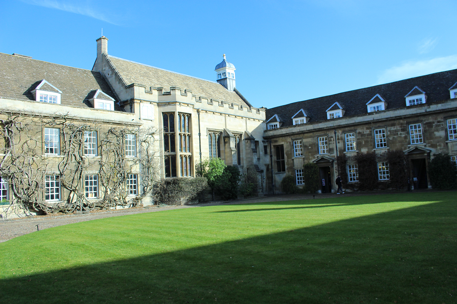 英国剑桥大学专业设置详情介绍！2020剑桥大学专业排名已发布！