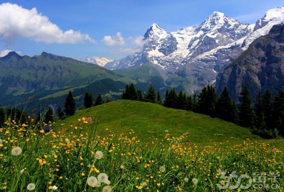瑞士留学旅游管理优势