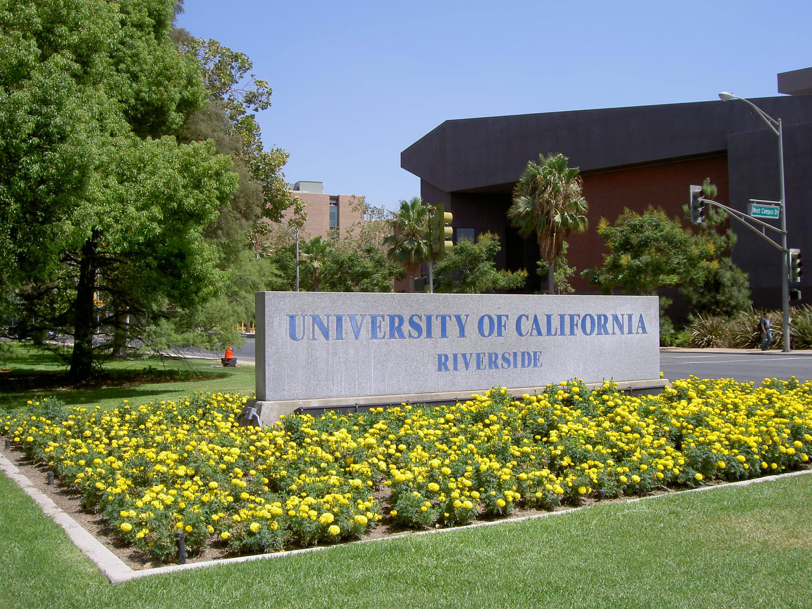 加州大学河滨分校材料科学与工程