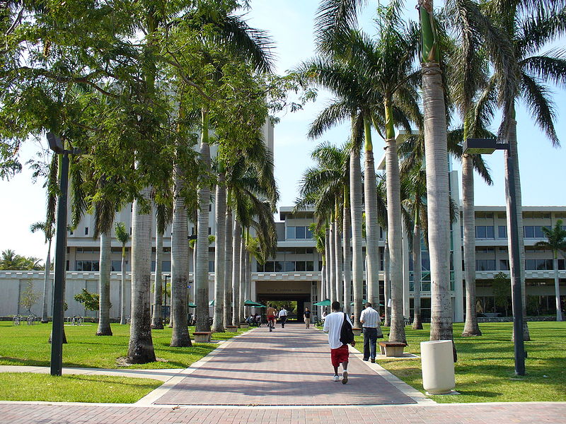 迈阿密大学