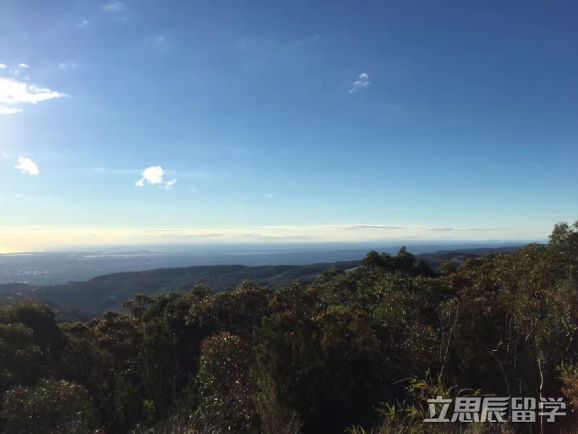 澳洲莫道克大学心理学怎么样