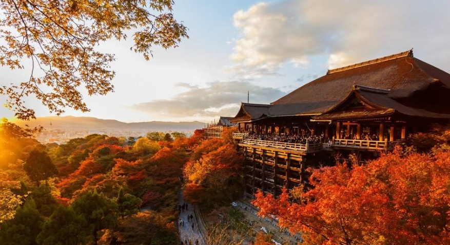 申请日本留学奖学金，这几点你要明确！