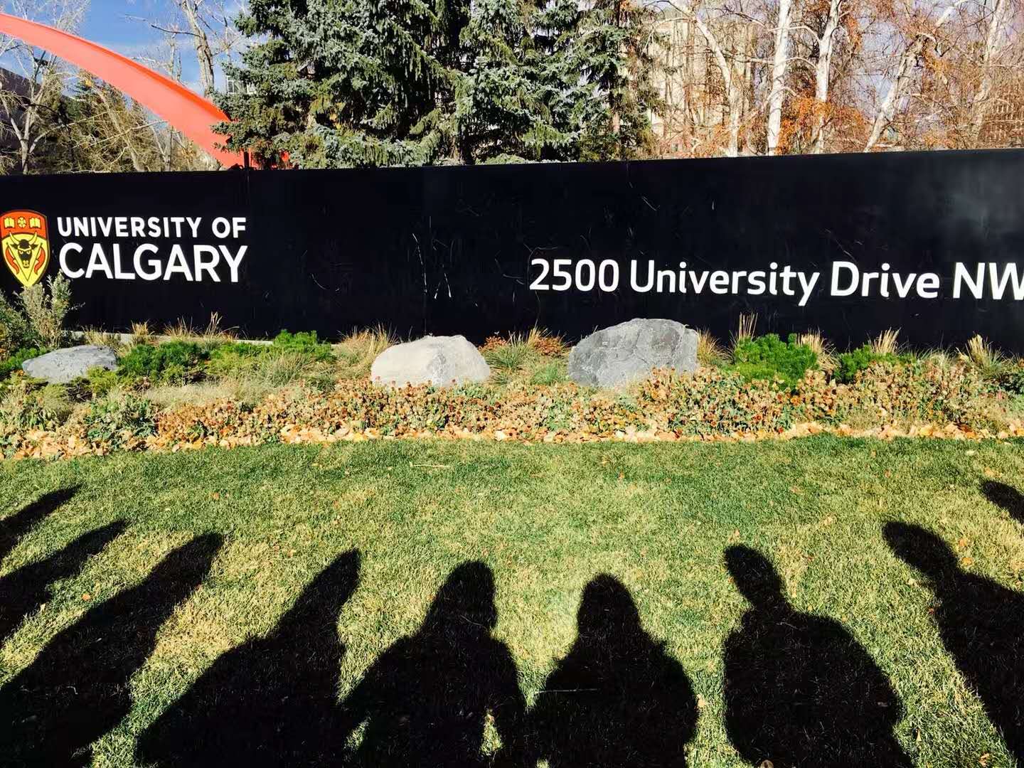 为什么加拿大卡尔加里大学吸引了这么多中国留学生？