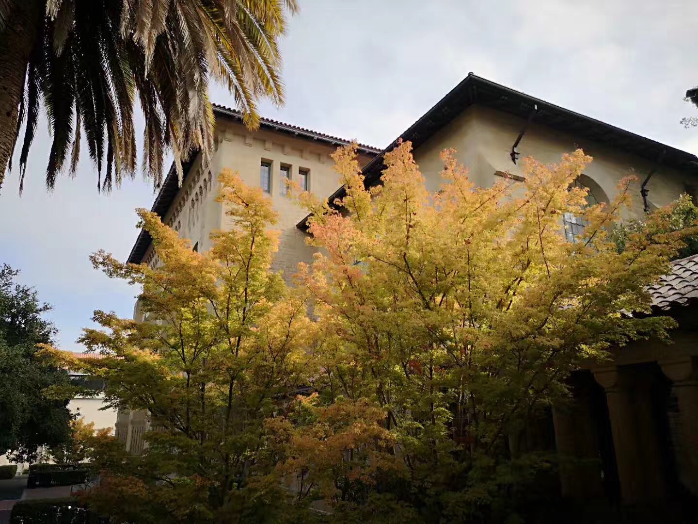 最新消息！加州州立大学确定秋季关闭校园！