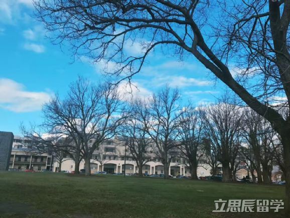 斯威本科技大学，中国学生最青睐的留学院校