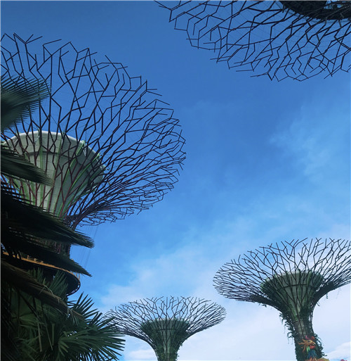 全球创新指数排行榜出炉，新加坡第八