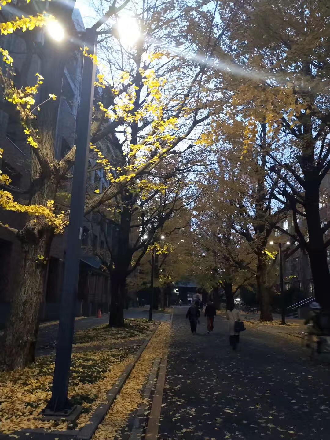 申请东京学艺大学的研究生需要具备什么条件？