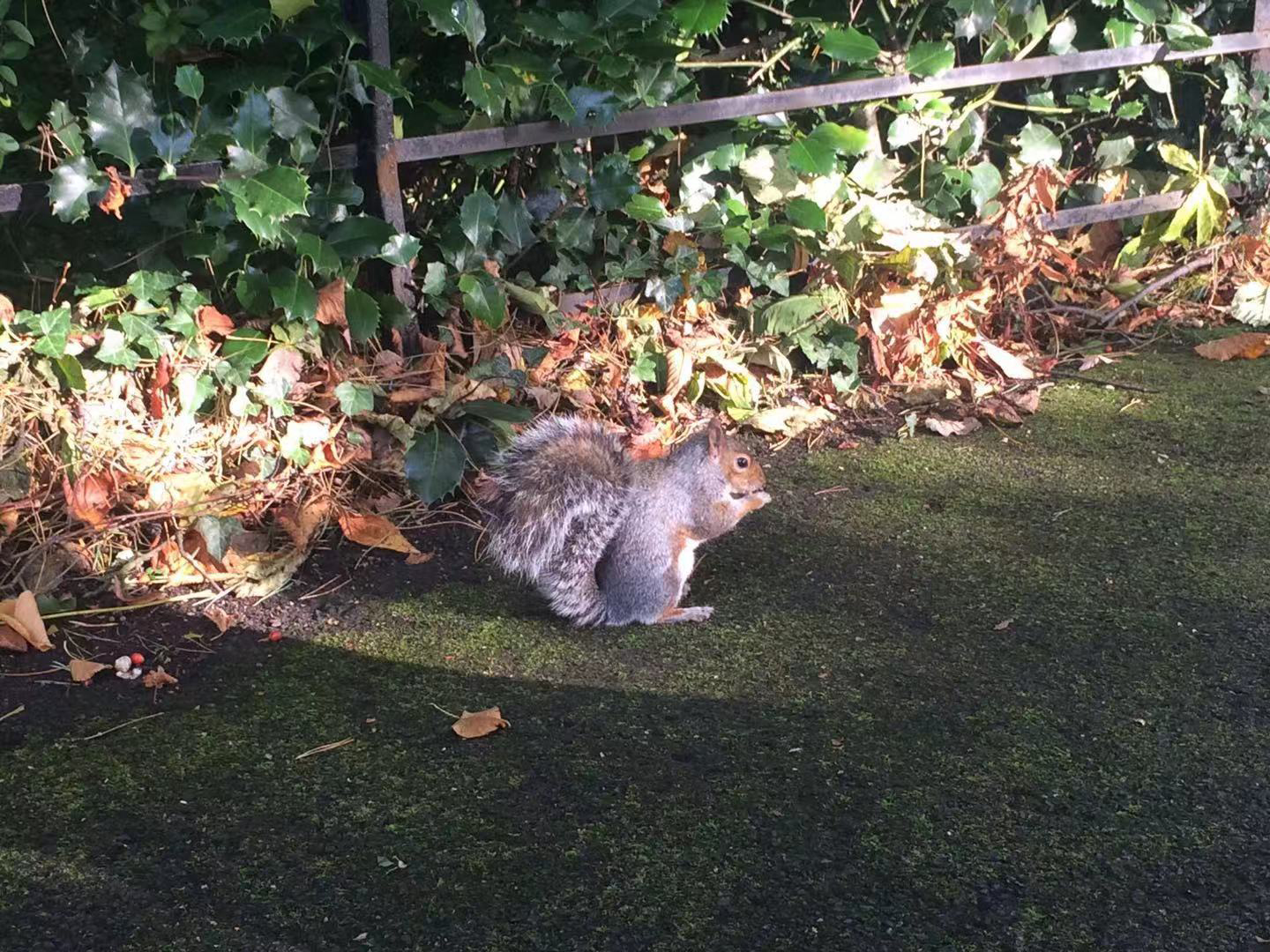 萨里大学住宿费