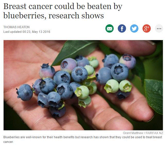 梅西大学最新研究：蓝莓能够预防和治疗乳腺癌！