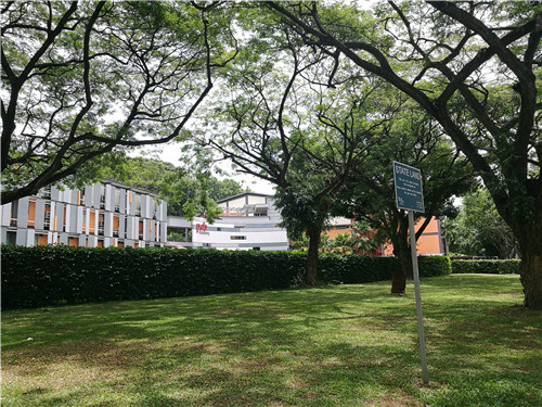 留学新加坡，学生“第二个家”怎么安排？