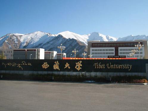 2018-2019西藏一本大学排名及分数线（理科+文科）