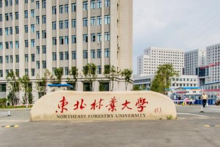 2019东北林业大学全国排名第114名_黑龙江第4名（最新）